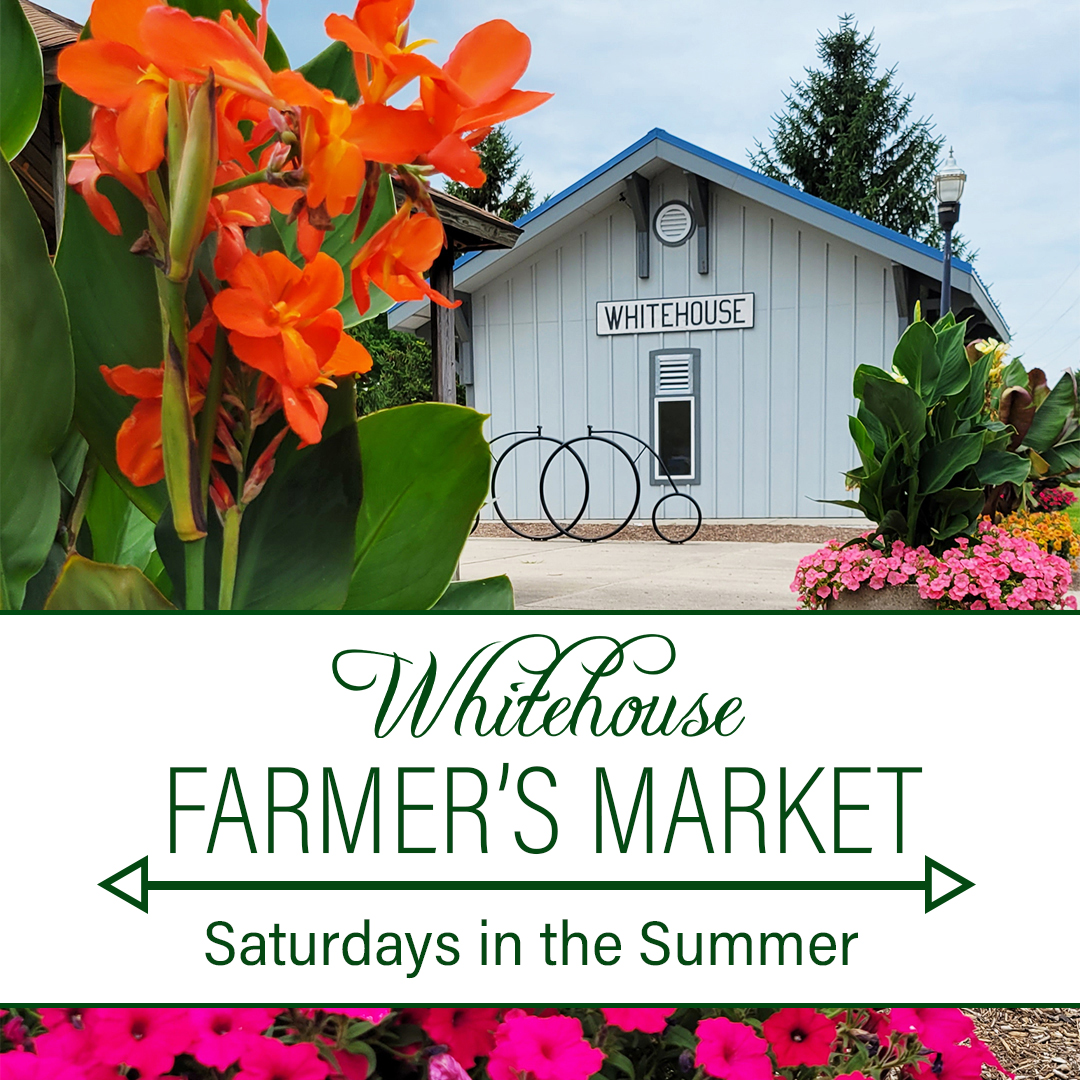 1x1 Farmers Market Evergreen