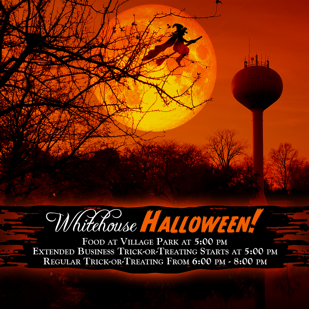 1x1 Halloween Evergreen