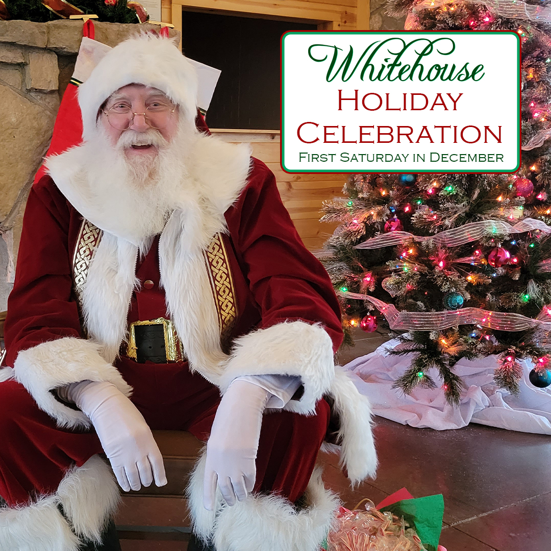 1x1 Holiday Celebration Evergreen